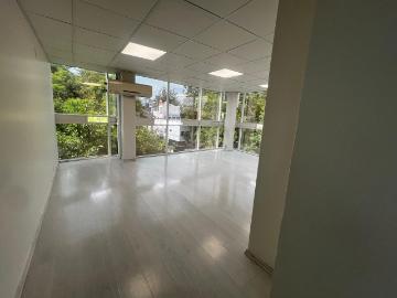 Oficina en Renta en la Anzures
