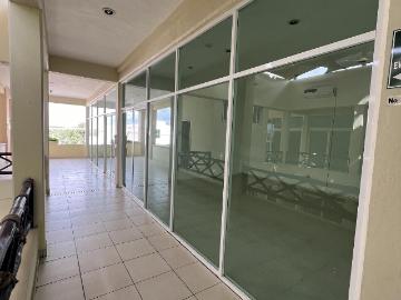 Oficina en Renta en Playa del Carmen sobre Avenida Constituyentes