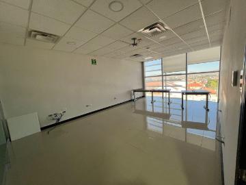 Oficina en Renta