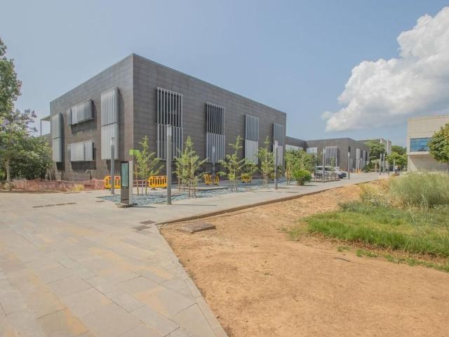Oficina, Establiments, Palma de Mallorca