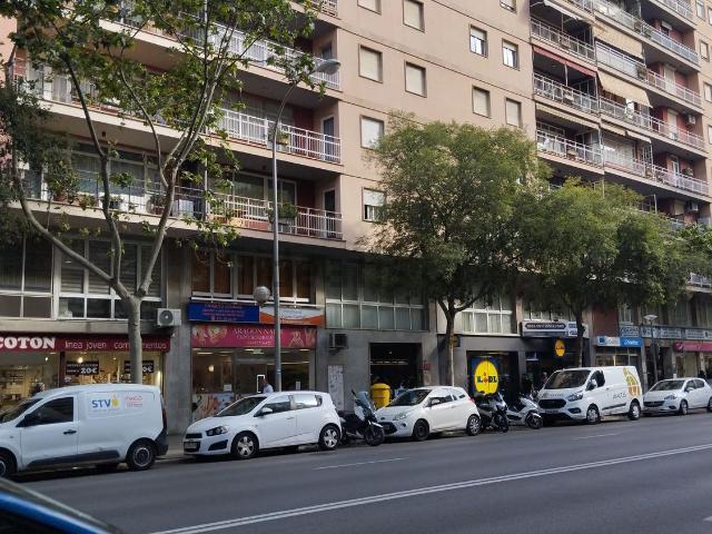 Oficina, Pere Garau, Palma de Mallorca