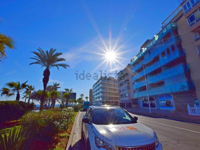 Oficina, Playa del Cura, Torrevieja