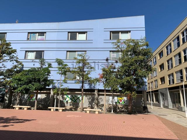 Oficina, Santa Maria de Guia de Gran Canaria