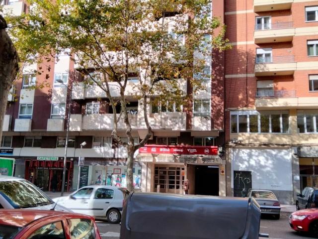 Oficina, Zamora