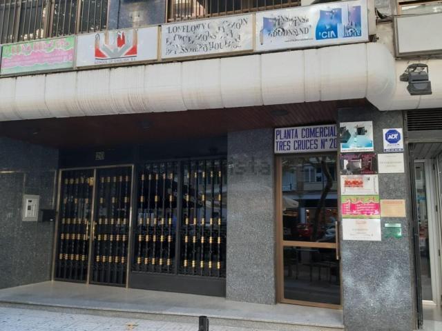 Oficina, Zamora