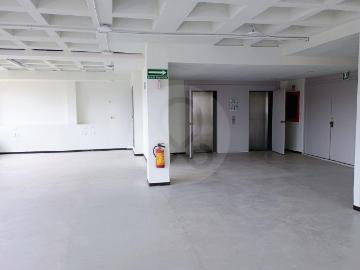 Oficina 250 m2 Col. Insurgentes Mixcoac