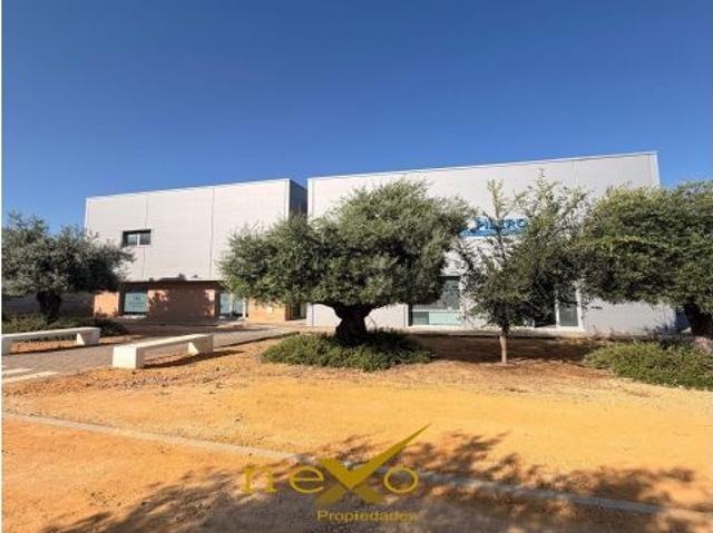OFICINA 55m2 P.I. EL PILERO