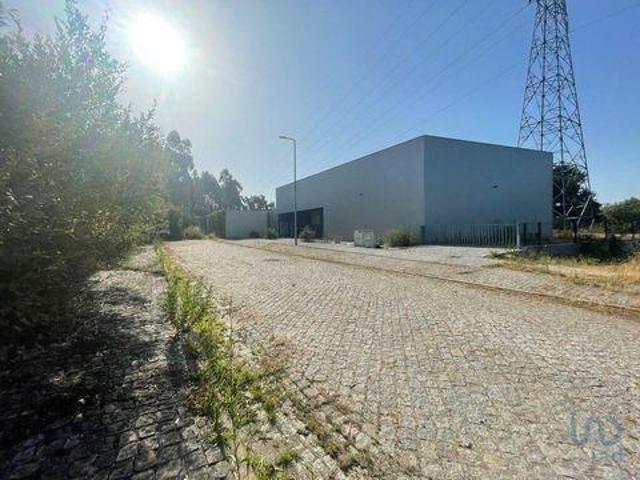 Oficinas Viana Do Castelo Viana Do Castelo DLS92317537