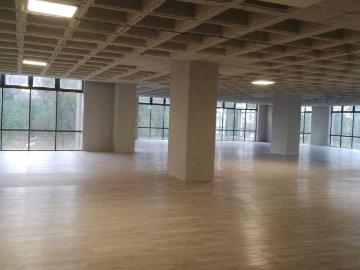 OFICINAS ACONDICIONADAS, AMPLIAS Y FUNCIONALES ?CONOCELAS!