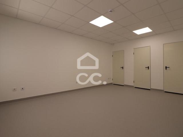 Oficinas Ansião Leiria DLS95225142