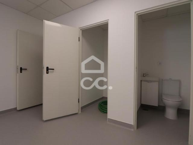 Oficinas Ansião Leiria ELS95225142