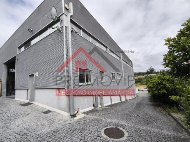 Oficinas Braga Guimarães 4765 DLS102629079
