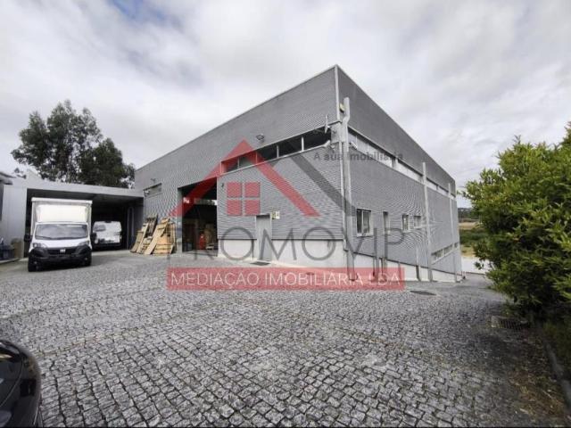 Oficinas Braga Guimarães 4765 ELS102629079