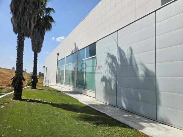 Oficinas Castelo Branco Castelo Branco DS102848901
