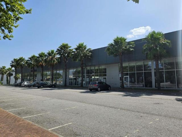 Oficinas Castelo Branco Castelo Branco DS102848909