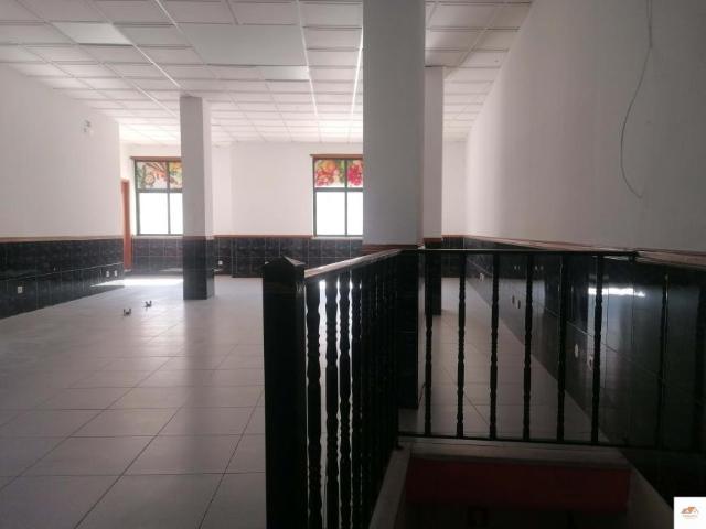 Oficinas Castelo Branco Castelo Branco DS86008032