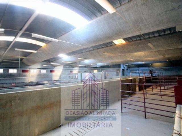 Oficinas Coimbra Oliveira do Hospital 3400 DS98339630