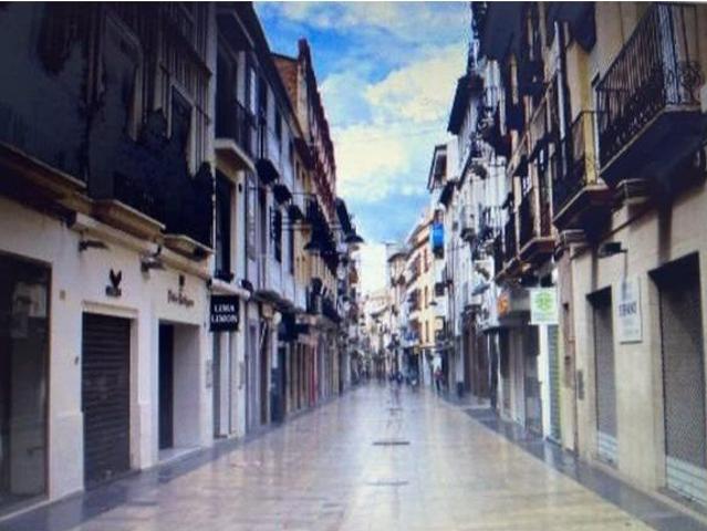 OFICINAS EN ALQUILER EN CALLE MAYOR DESDE 250€