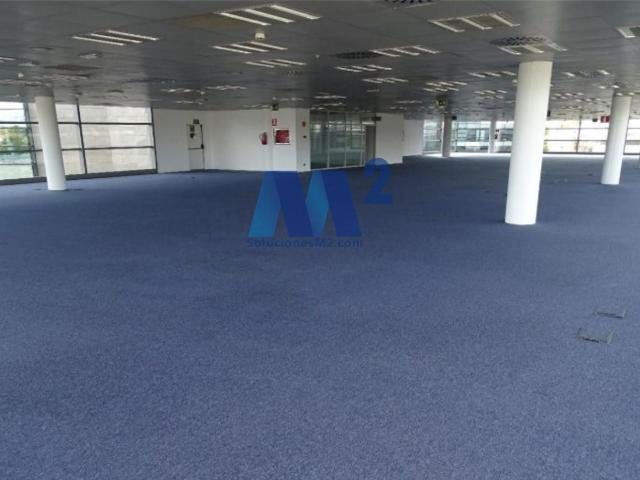 Oficinas en alquiler. Madrid