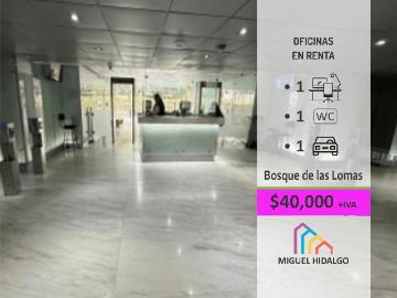OFICINAS EN RENTA EN MIGUEL HIDALGO