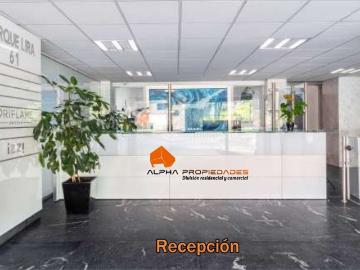 Oficinas en renta en Parque Lira