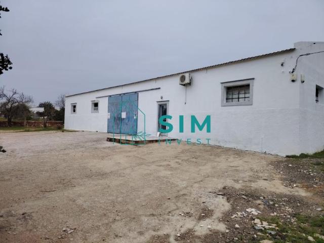 Oficinas Faro Olhão 8700 DLS98655437