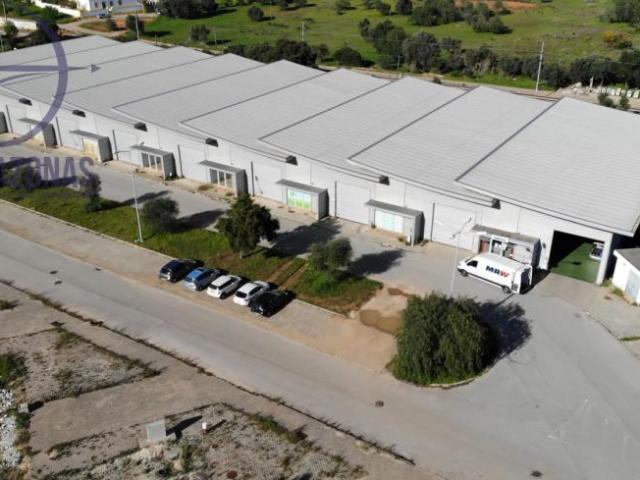 Oficinas Faro Silves 8365 DS99794580