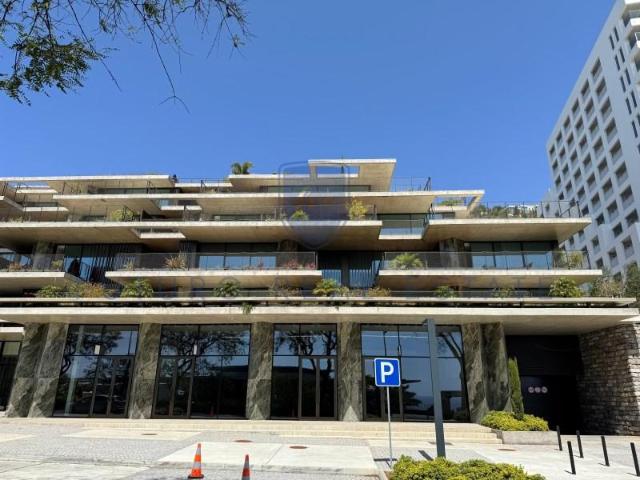 Oficinas Funchal Funchal 9000 250 DS102526837