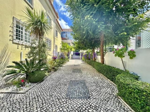 Oficinas Lisboa Lisboa DLS98342396