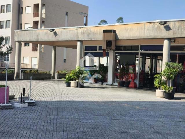 Oficinas Maia Porto DS95418726