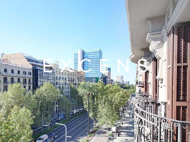 Oficinas o despacho amplio y luminoso en Diagonal Francesc Macià