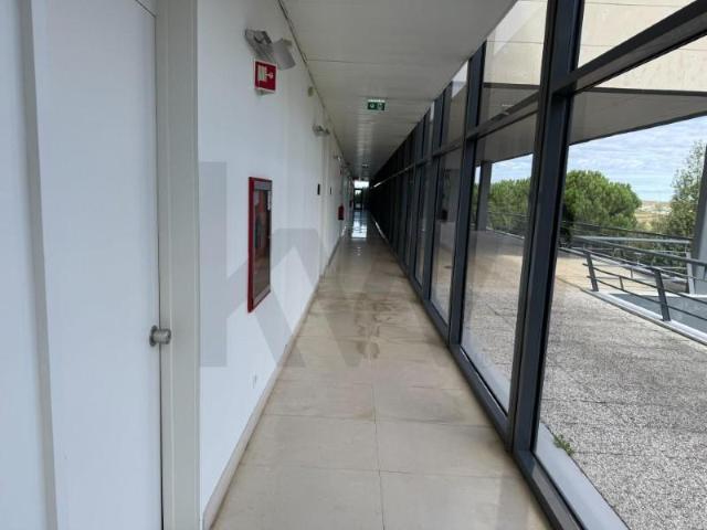 Oficinas Oeiras Oeiras DLS98221179