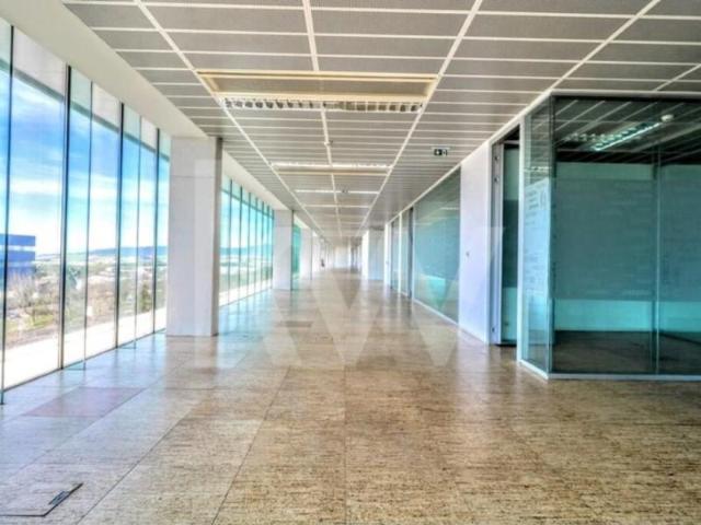 Oficinas Oeiras Oeiras DS102637324