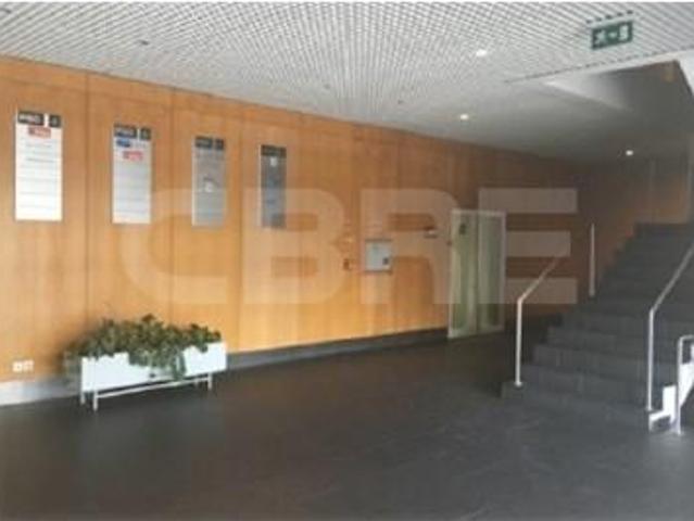 Oficinas Porto Porto DLS94041455