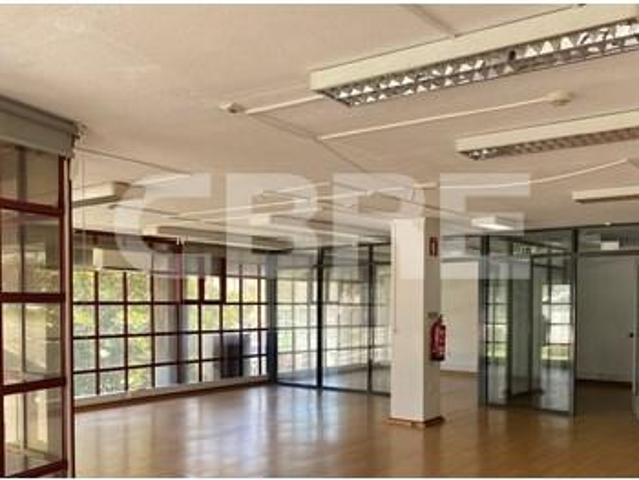 Oficinas Porto Porto DLS95349580