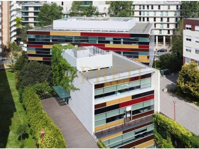 Oficinas Porto Porto DLS95846449