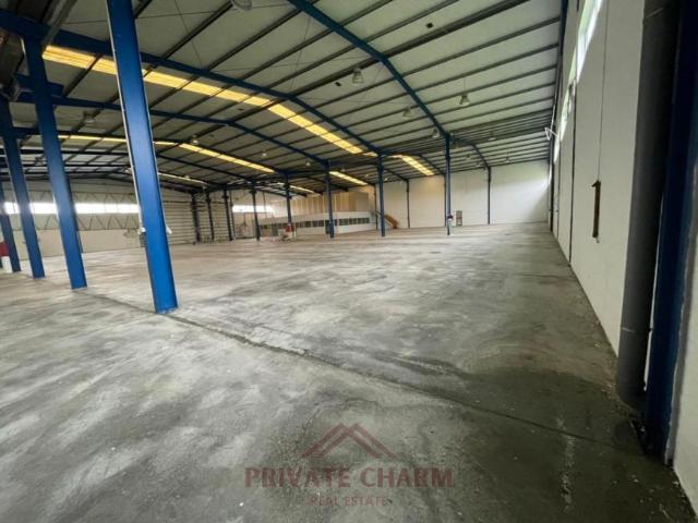 Oficinas Santarém Benavente 2135 ELS98048572