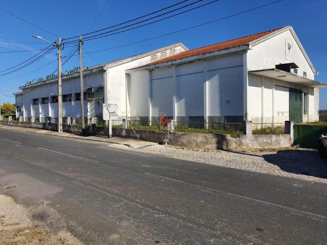 Oficinas Santarém Santarém DLS85278690