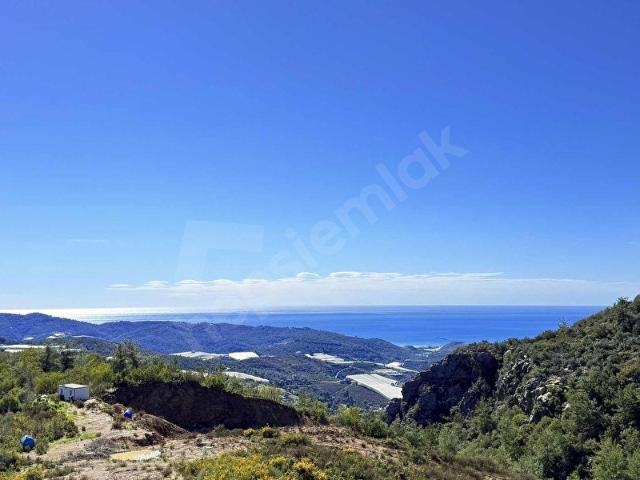 ŞOK FİYAT HOCALAR MAHALLESİ DENİZ MANZARALI 23.990 m2 ARAZİ