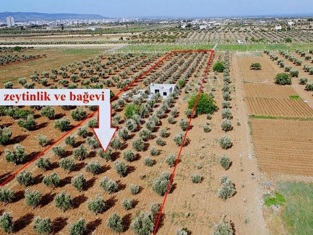Şok Fiyat Satılık Mükemmel Konumda Bağevi üniversite Emlak