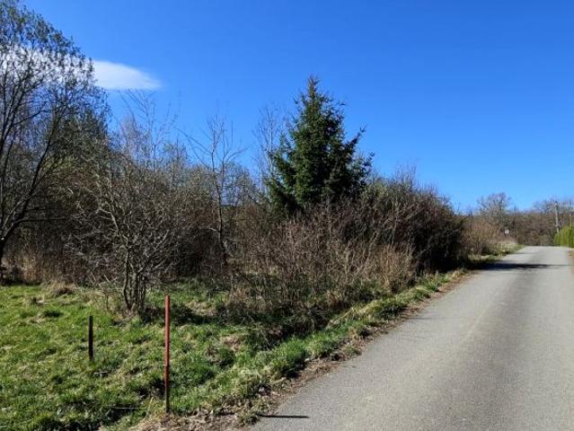 Ok. Kłodzka, Stary Wielisław 1 500 m², Stary Wielisław