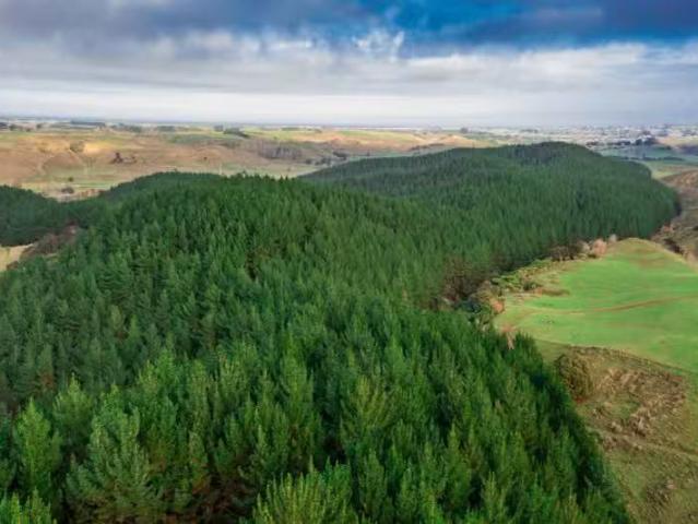 Okoia Forests 1 & 2, Okoia, Whanganui