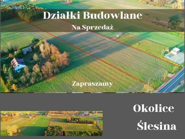 Okolice Ślesina – Działki Budowlane z Warunkami zabudowy