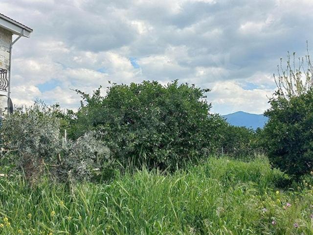Okkalı Emlak tan Menemen Yayla Mah.de Satılık Arsa
