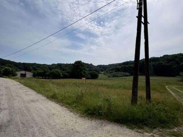 Okrągła 3 902 m², Wapnica