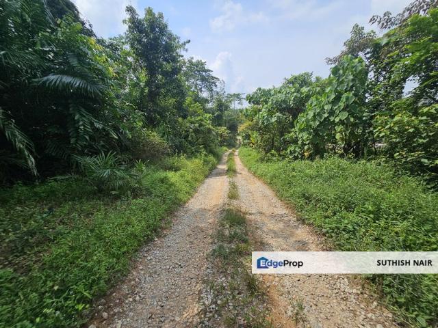 Oil Palm 10 Acre Nearby to Main Road Johol