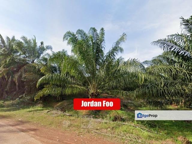 Oil Palm Estate Sungkap Para near Sungai Petani 103 Acres