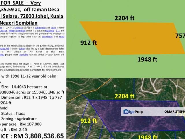 Oil Palm Land @ Kepis Kuala Pilah Negeri Sembilan