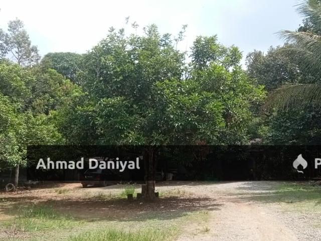 Oil Palm Land @ Ulu Cheka Jerantut Pahang For Sale