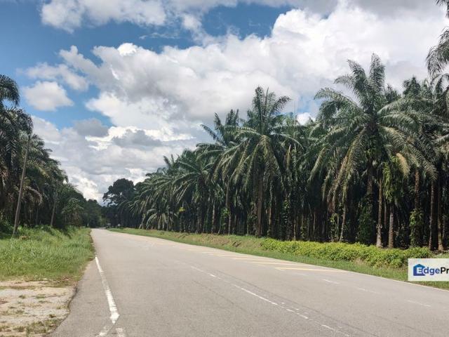 Oil Palm Plantation Land @ Jelai Perak